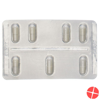 Galantamin Sr Zentiva Retard Kapseln 8mg 28 Stück