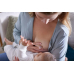 Avent Philips Brusthuetchen Schmetterling Normal 2 Stück buy online