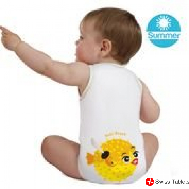 Jbimbi Body Summer Kugelfisch 3 Stück buy online