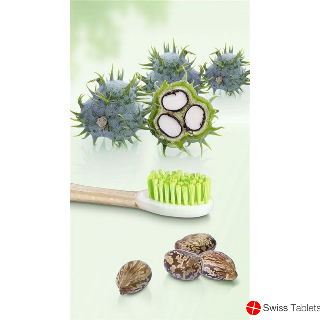 Trisa Natural Clean Swiss Wood Soft buy online