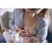 Avent Philips Brusthuetchen Medium Inkl. Steribox buy online