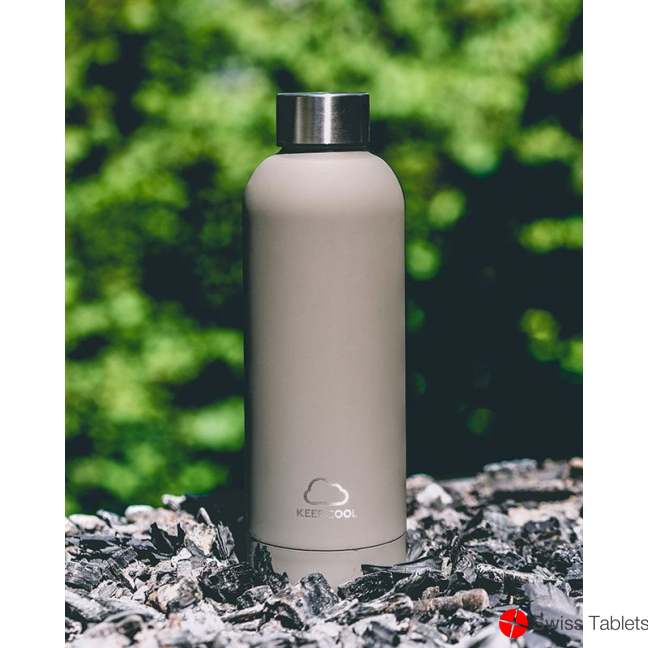 Revie Arctic Bottle 500ml buy online