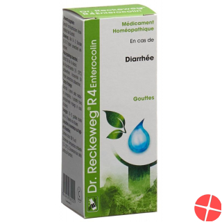 Reckeweg R4 Enterocolin Tropfen Flasche 50ml