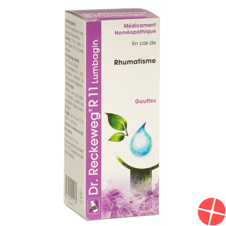Reckeweg R11 Lumbagin Tropfen Flasche 50ml