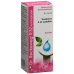 Reckeweg R32 Antihidrosin Tropfen Flasche 50ml buy online