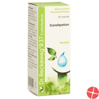 Reckeweg R37 Colinteston Tropfen Flasche 50ml