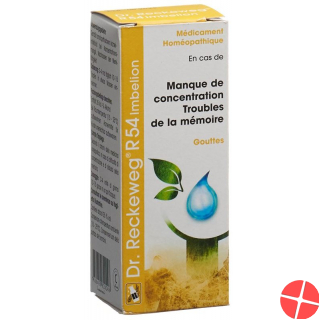 Reckeweg R54 Imbelion Tropfen Flasche 50ml