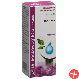 Reckeweg R55 Rutavine Tropfen Flasche 50ml