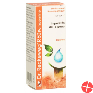 Reckeweg R60 Purhaemine Tropfen Flasche 50ml