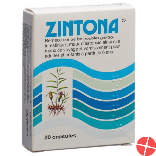 Zintona Kapseln 20 Stück