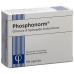 Phosphonorm Kapseln 300mg 100 Stück buy online