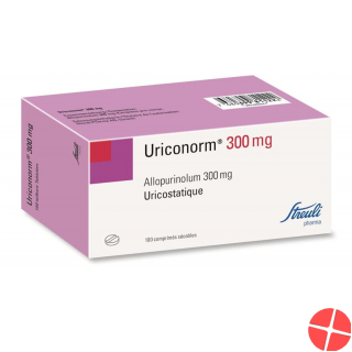 Uriconorm Tabletten 300mg 100 Stück