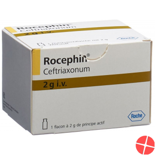 Rocephin 2g i.v. Durchstechflasche