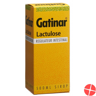 Gatinar Sirup 500ml