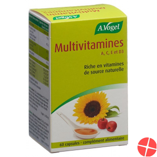 Multivitamin Kapseln 60 Stück
