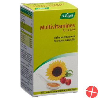 Multivitamin Kapseln 120 Stück