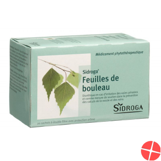 Sidroga Birkenblätter Tee 20 Beutel