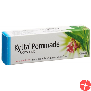Kytta Salbe 100g