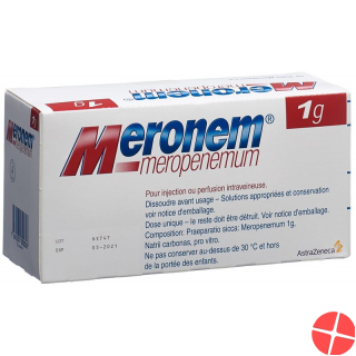 Meronem Trockensubstanz 1g i.v. Durchstechflasche 10 Stück