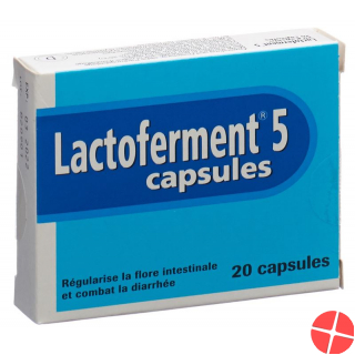 Lactoferment Kapseln 20 Stück