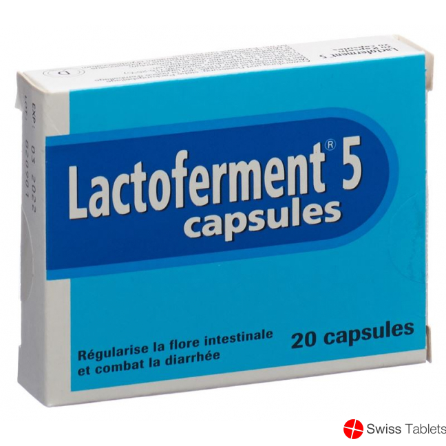 Lactoferment Kapseln 20 Stück buy online