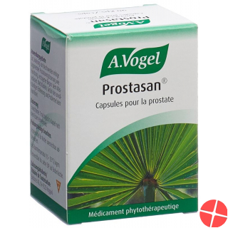 Prostasan 90 Kapseln