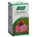 Vogel Echinaforce 400 Tabletten buy online