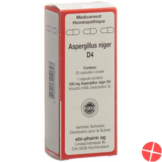 Sanum Aspergillus Niger Kapseln D 4 20 Stück