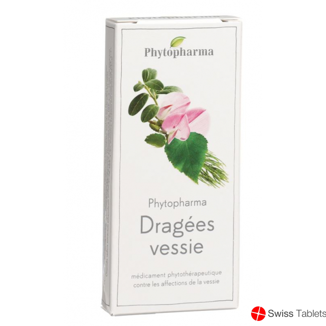 Phytopharma Blasendragees 60 Stück buy online