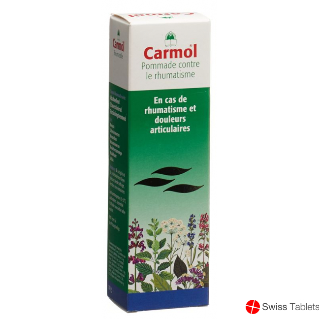 Carmol Rheumasalbe 80g buy online