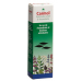 Carmol Rheumasalbe 80g buy online