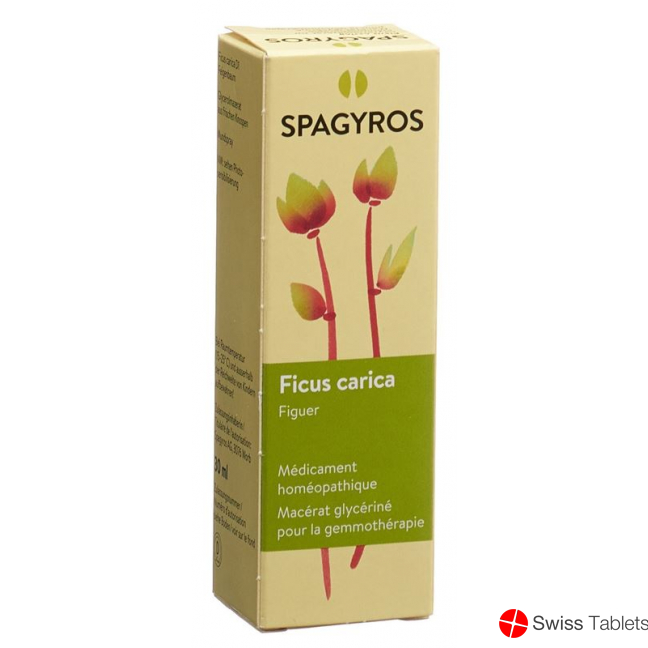 Spagyros Gemmo Ficus Carica Glyc Maz D 1 30ml buy online