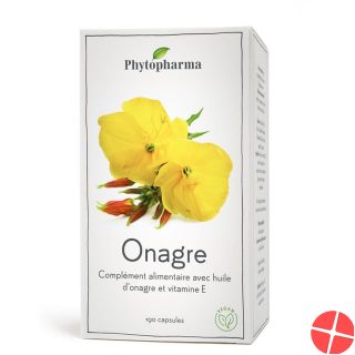 Phytopharma Nachtkerze Kapseln 500mg 190 Stück Phytopharma Nachtkerze Kapseln 500mg 190 Stück