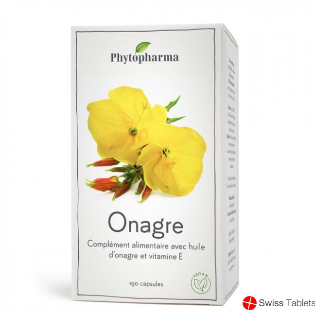 Phytopharma Nachtkerze Kapseln 500mg 190 Stück buy online