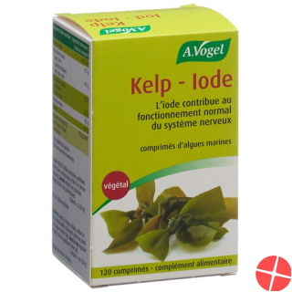 Kelp-Jod 120 Tabletten