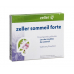 Zeller Schlaf Forte 10 Filmtabletten buy online
