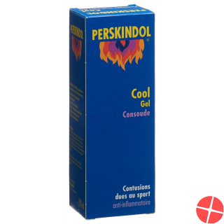 Perskindol 100 ml cool wallwurz gel Perskindol 100 ml cool wallwurz gel