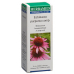 Echinacea Comp Tropfen 50ml buy online