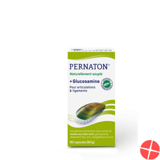 Pernaton Plus Glucosamine Capsules Can 90 pieces