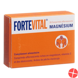 Fortevital Magnesium Brausetabletten 20 Stück