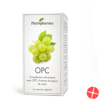 Phytopharma Opc Kapseln 95mg 120 Stück