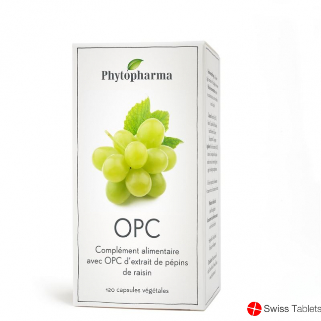 Phytopharma Opc Kapseln 95mg 120 Stück buy online