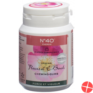 Dr. Bach Kaugummi für Energie Dose 60g Dr. Bach Kaugummi für Energie Dose 60g