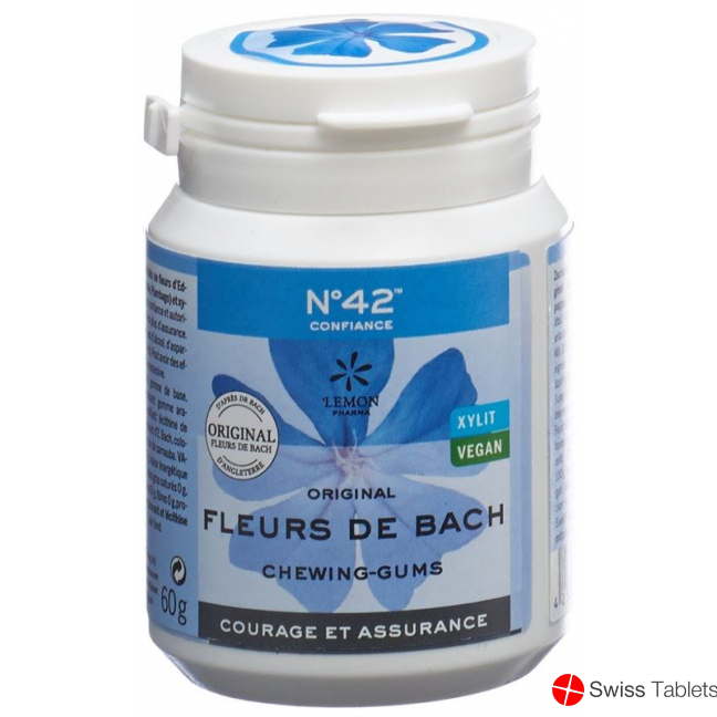 Dr. Bach Kaugummi für Selbstvertrauen Dose 60g buy online