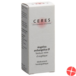 Ceres Angelica Archangelica 20 ml tincture