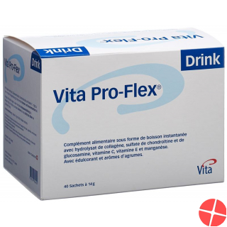 Vita Pro-Flex DRINK 40 Beutel