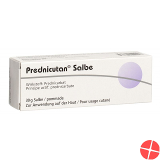Prednicutan Salbe 2.5mg/g 30g