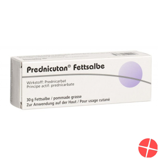 Prednicutan Fettsalbe 2.5mg/g 30g