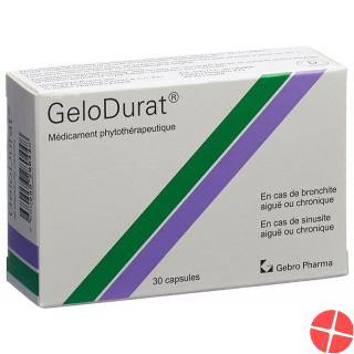 Gelodurat Kapseln 30 Stück