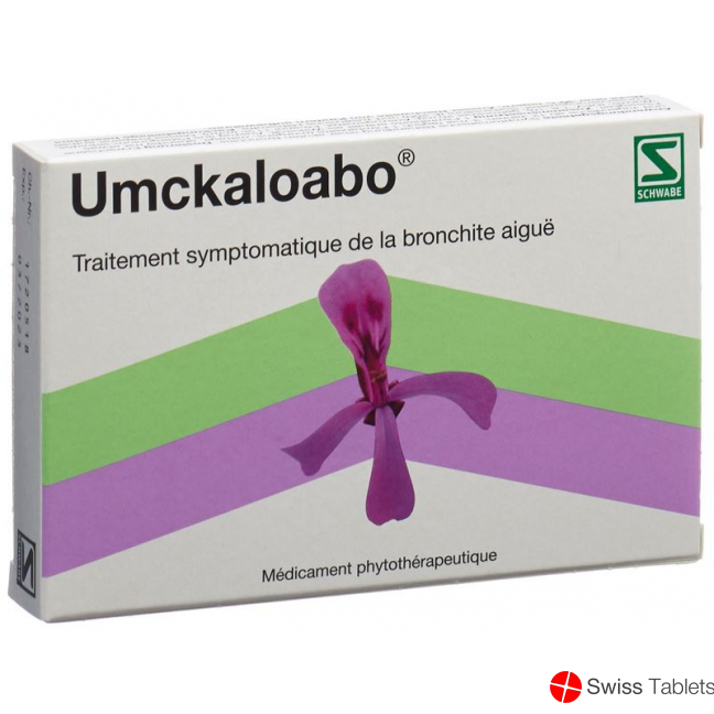 Umckaloabo Filmtabletten 30 Stück buy online
